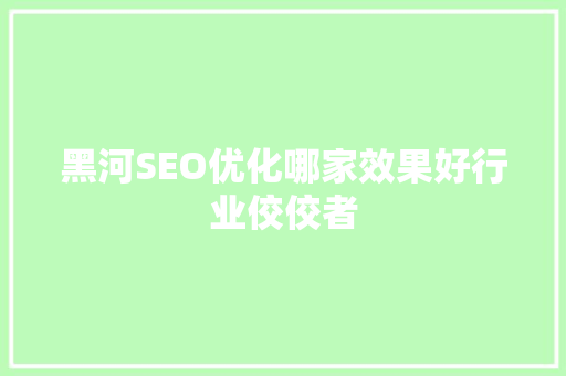 黑河SEO优化哪家效果好行业佼佼者