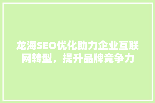 龙海SEO优化助力企业互联网转型，提升品牌竞争力