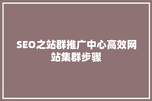 SEO之站群推广中心高效网站集群步骤