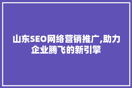 山东SEO网络营销推广,助力企业腾飞的新引擎