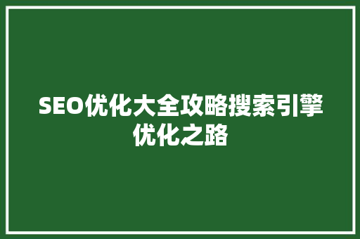 SEO优化大全攻略搜索引擎优化之路