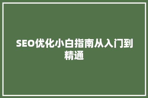 SEO优化小白指南从入门到精通