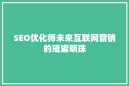 SEO优化师未来互联网营销的璀璨明珠