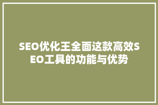 SEO优化王全面这款高效SEO工具的功能与优势