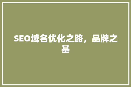 SEO域名优化之路，品牌之基