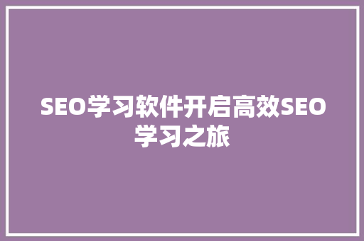 SEO学习软件开启高效SEO学习之旅