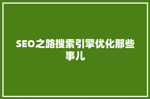 SEO之路搜索引擎优化那些事儿