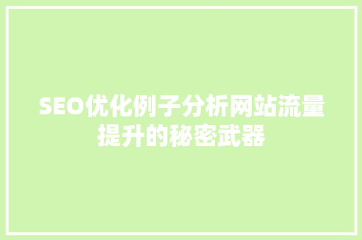SEO优化例子分析网站流量提升的秘密武器