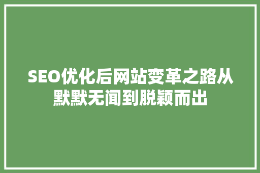 SEO优化后网站变革之路从默默无闻到脱颖而出