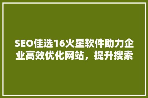 SEO佳选16火星软件助力企业高效优化网站，提升搜索引擎排名