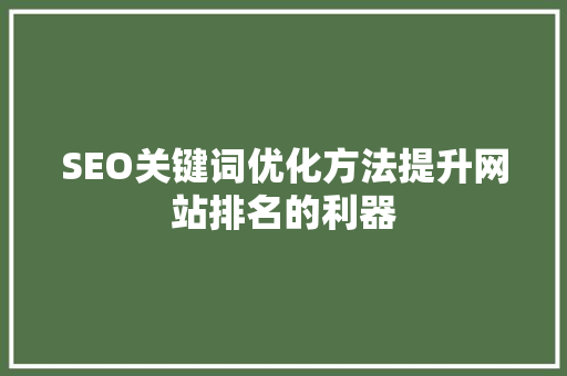 SEO关键词优化方法提升网站排名的利器