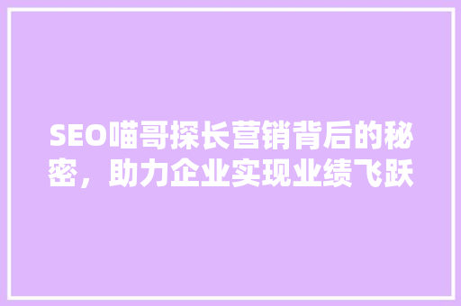SEO喵哥探长营销背后的秘密，助力企业实现业绩飞跃