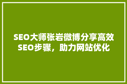 SEO大师张岩微博分享高效SEO步骤，助力网站优化