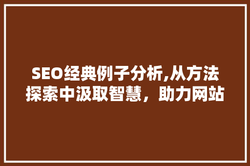 SEO经典例子分析,从方法探索中汲取智慧，助力网站优化