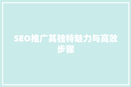 SEO推广其独特魅力与高效步骤