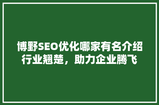 博野SEO优化哪家有名介绍行业翘楚，助力企业腾飞