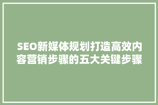 SEO新媒体规划打造高效内容营销步骤的五大关键步骤
