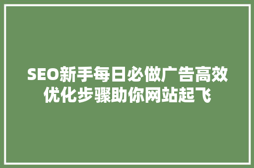 SEO新手每日必做广告高效优化步骤助你网站起飞