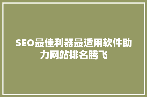 SEO最佳利器最适用软件助力网站排名腾飞