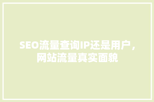 SEO流量查询IP还是用户，网站流量真实面貌