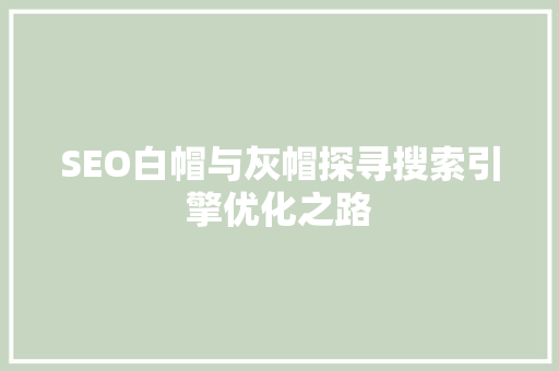 SEO白帽与灰帽探寻搜索引擎优化之路