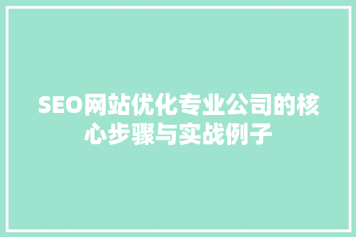 SEO网站优化专业公司的核心步骤与实战例子