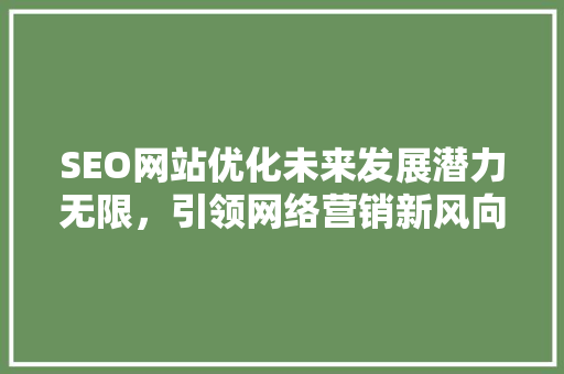 SEO网站优化未来发展潜力无限，引领网络营销新风向