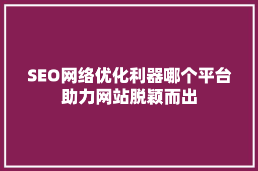 SEO网络优化利器哪个平台助力网站脱颖而出