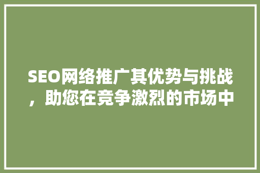 SEO网络推广其优势与挑战，助您在竞争激烈的市场中脱颖而出
