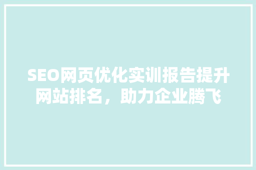 SEO网页优化实训报告提升网站排名，助力企业腾飞