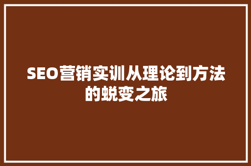 SEO营销实训从理论到方法的蜕变之旅