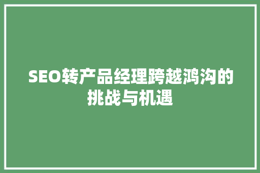 SEO转产品经理跨越鸿沟的挑战与机遇
