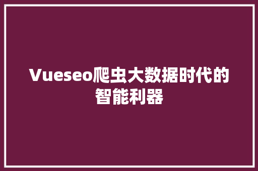 Vueseo爬虫大数据时代的智能利器