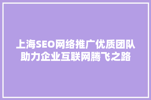 上海SEO网络推广优质团队助力企业互联网腾飞之路