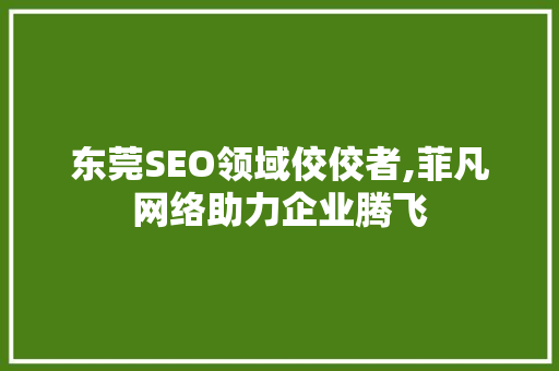 东莞SEO领域佼佼者,菲凡网络助力企业腾飞