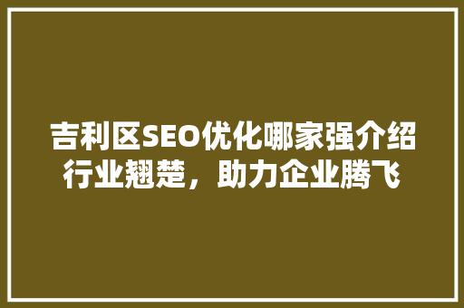 吉利区SEO优化哪家强介绍行业翘楚，助力企业腾飞  第1张
