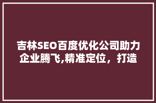 吉林SEO百度优化公司助力企业腾飞,精准定位，打造互联网新优势  第1张