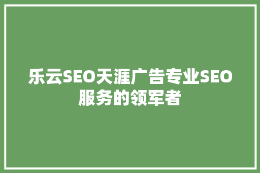 乐云SEO天涯广告专业SEO服务的领军者
