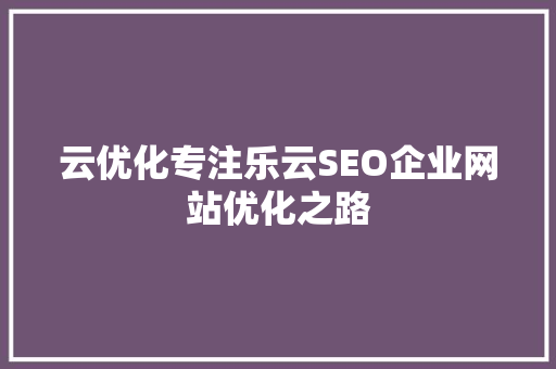 云优化专注乐云SEO企业网站优化之路