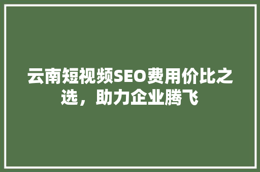 云南短视频SEO费用价比之选，助力企业腾飞