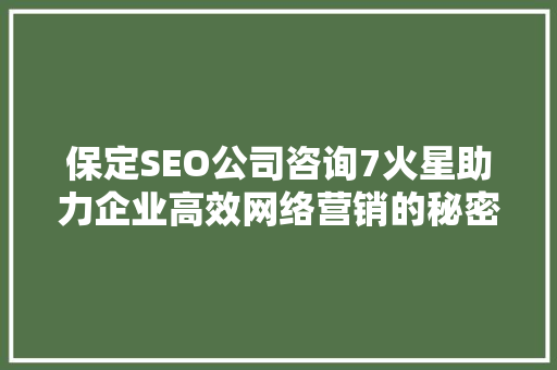 保定SEO公司咨询7火星助力企业高效网络营销的秘密武器