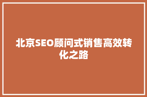 北京SEO顾问式销售高效转化之路