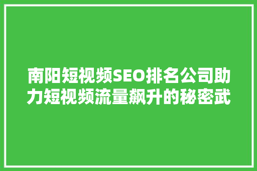 南阳短视频SEO排名公司助力短视频流量飙升的秘密武器