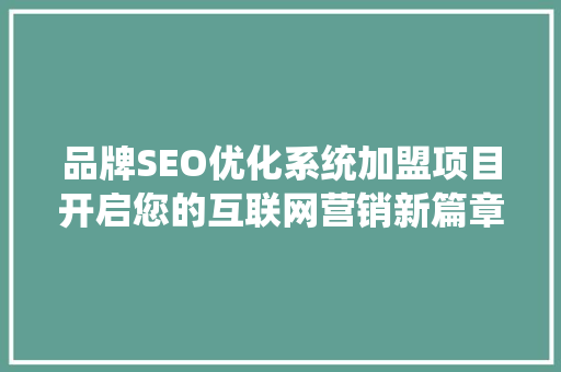 品牌SEO优化系统加盟项目开启您的互联网营销新篇章