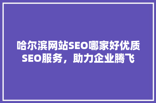 哈尔滨网站SEO哪家好优质SEO服务，助力企业腾飞  第1张