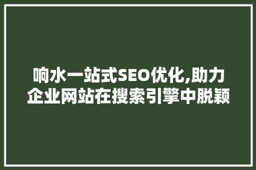 响水一站式SEO优化,助力企业网站在搜索引擎中脱颖而出