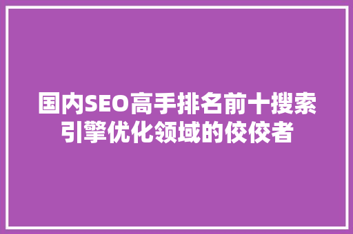 国内SEO高手排名前十搜索引擎优化领域的佼佼者