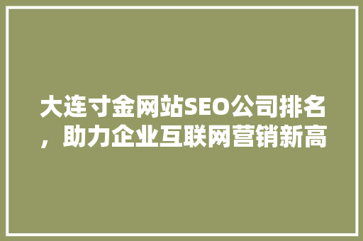 大连寸金网站SEO公司排名，助力企业互联网营销新高度