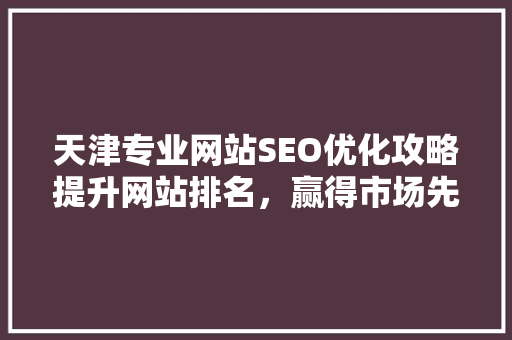 天津专业网站SEO优化攻略提升网站排名，赢得市场先机