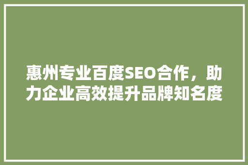 惠州专业百度SEO合作，助力企业高效提升品牌知名度